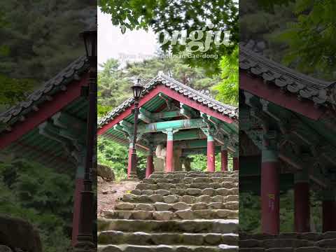 #경주산책 #삼릉 #석조여래삼존입상