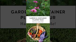 Garden & Container Planter Tour - Harvest with Me!