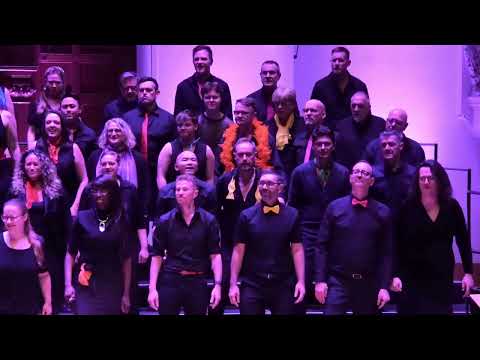 The Pink Singers - Revolution