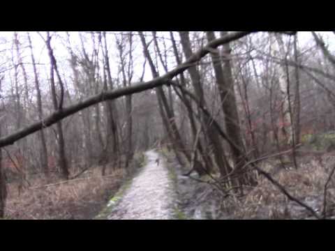 MongoTV_688 - Del 2 - Gåtur Tirsdag 12.Januar 2016 - Mølleåen Marienborg Nybro Sophienholm