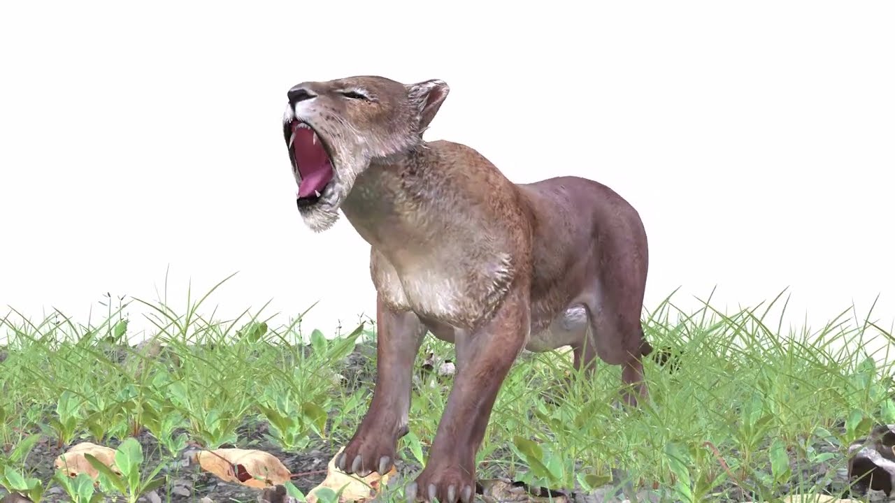 BAIXAR GATO MODELO 3D GATO LEOA TIGRE LE&Atilde;O CHITA LEOPARDO PREDADOR RAPTOR LEOA MONSTRO Modelo 3D