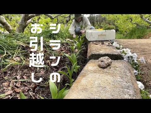 B6: 可燃性反応性物質