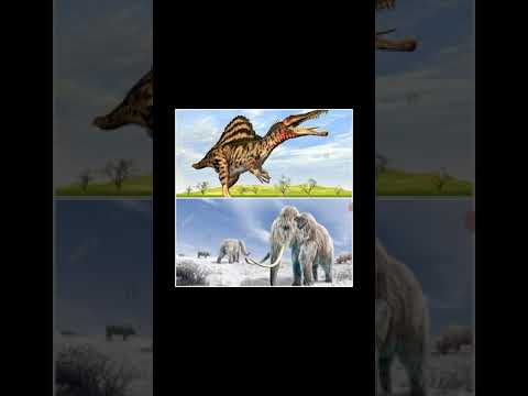 Spinosaurus vs Woolly Mammoth