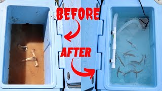 Turning ROTTEN MEAT Cooler into LIVE BAIT Tank! (DIY)