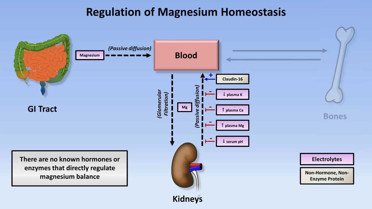 Magnesium Disorders