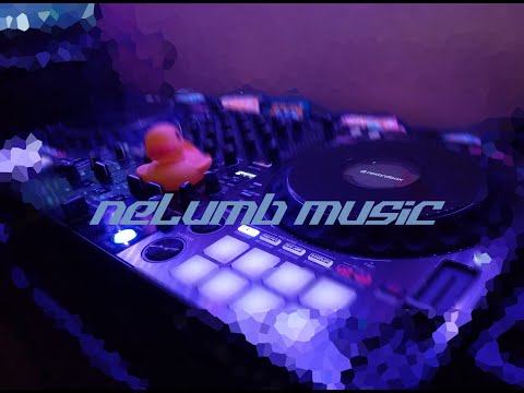 Nelumb in Session - Sounds of Now (Progressive House Music live mix)