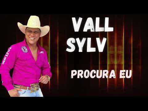 VALL SYLVA - PROCURA EU