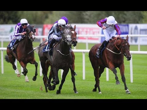 Laurens ready to face nine rivals in the Kingdom of Bahrain Sun Chariot Stakes at Newmarket