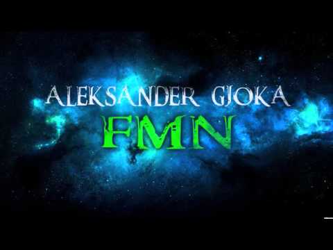 Aleksander Gjoka - FMN