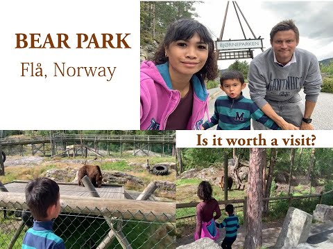 BEAR PARK | BJØRNEPARKEN | NORWAY WILDLIFE PARK | NATURAL HABITATS | FAMILY FUN | THE GUSTAVSSON👪
