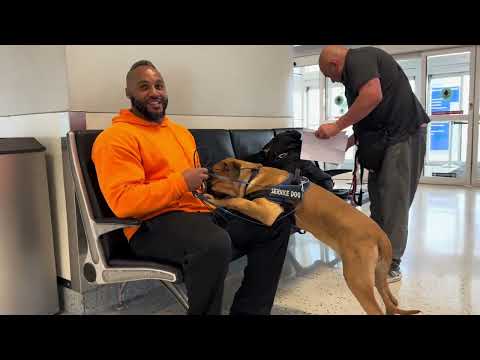 The Dog Father: “We Got a PRESA CANARIO!” (Ep. 81)