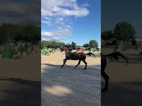 Udalco video 2