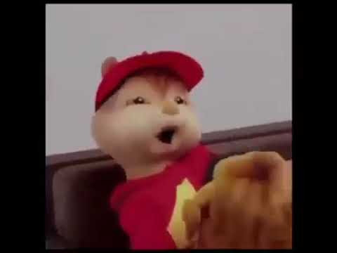 Una Cunumi - Alvin y las ardillas