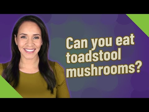 Can you eat toadstool mushrooms?