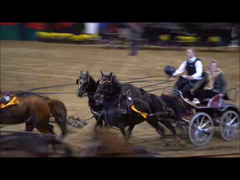 Ehrenrunde - Fahrchampionat 2017 - Reitsportzentrum Hohenzollern