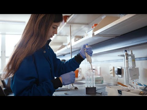 Cornell CALS Undergraduate Research Experience: Gaby Markle ’26