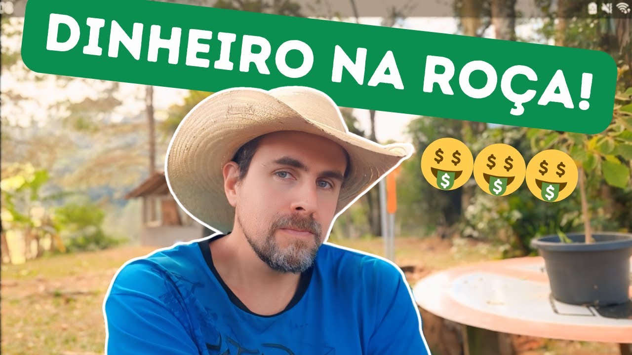 🤑 COMO FAZER DINHEIRO NO CAMPO? TUDO SOBRE RENDA RURAL!