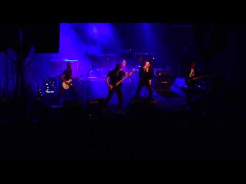 Stellar Revival - watch you walk away LIVE in Italy