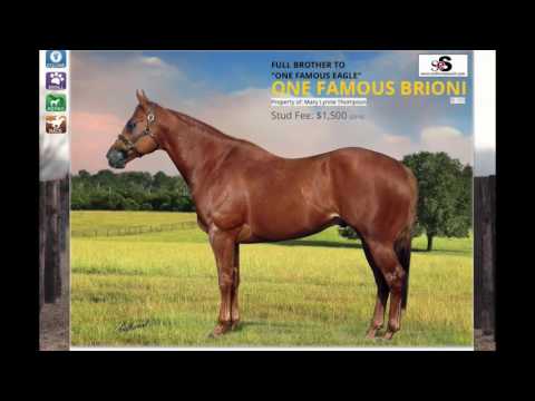 2016 Delta QH Report: Episode 5