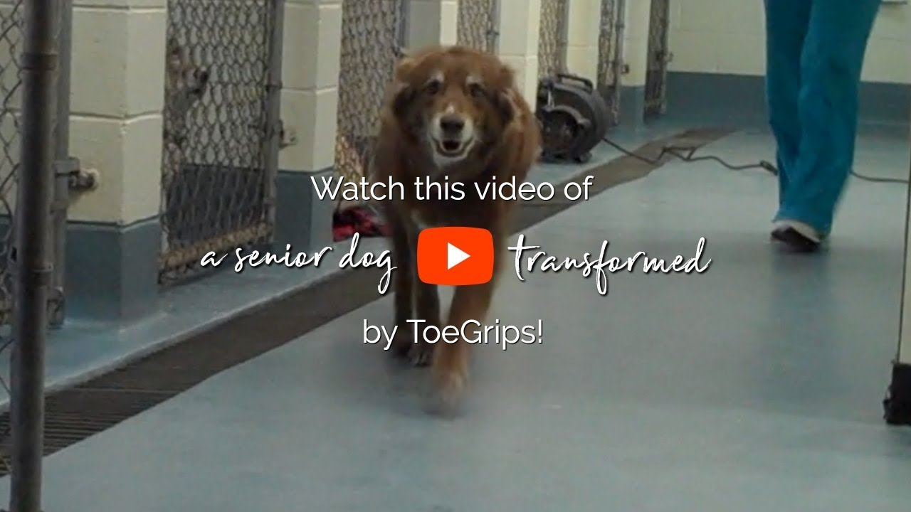 ToeGrips Before & After