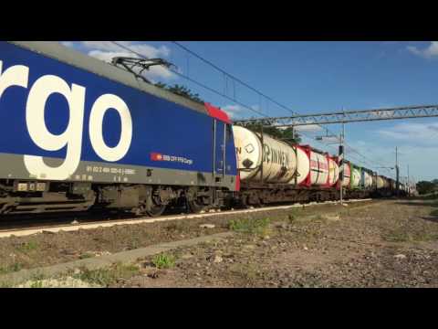 Doppio LIS di Tigri ed altro in quel di Torricola