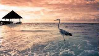 #nowplaying Sylvester - I Took My Strength From You