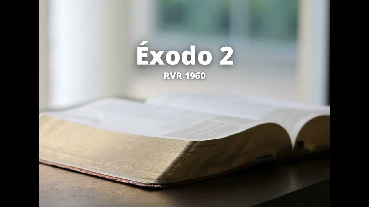 Exodus 2 - Reina Valera 1960 (Audio Bible)