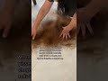 MOM CUTS OFF MY HAIR Shorts Hair Omg