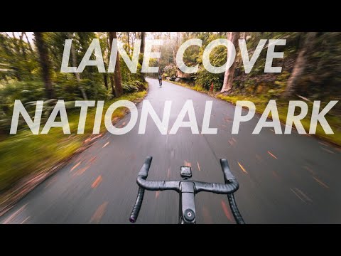 Sydney Cycling Guide: Lane Cove National Park (the most UNDERRATED cycling route in Sydney)