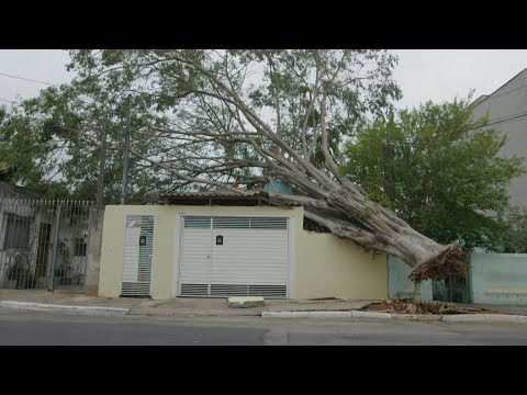 Video Thumbnail: Fallen trees and blackouts as deadly storms batter Brazil | AFP