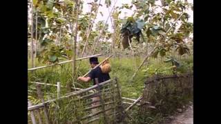 Download lagu Film JAMPANG bagian 1 mp3