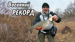 Ловля голавля весной на малых реках в марте
