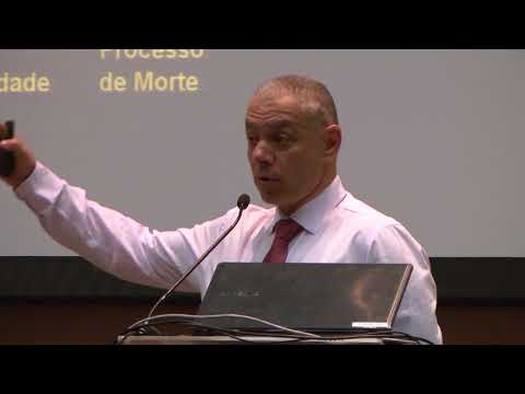 What are the boundaries between Therapeutics and Palliative Care?