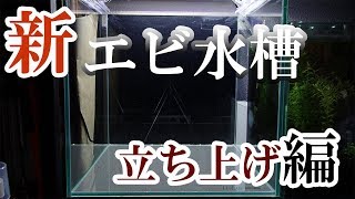 新・レッドチェリーシュリンプ水槽 ~立ち上げ編~【エビ水槽】#1