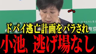【さとうさおり】※小池、ドバイ合意で墓穴掘るw w w w【佐藤沙織里 消費税 東京都議会本会議】