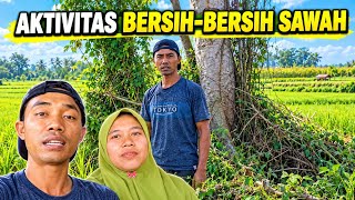 Download lagu CLEANING UP THE RICE FIELD mp3