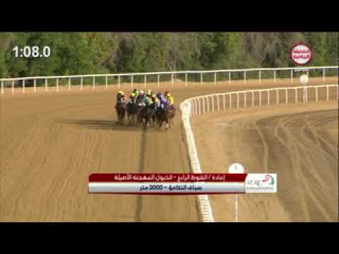 Sharjah 18/11/17 Race 4