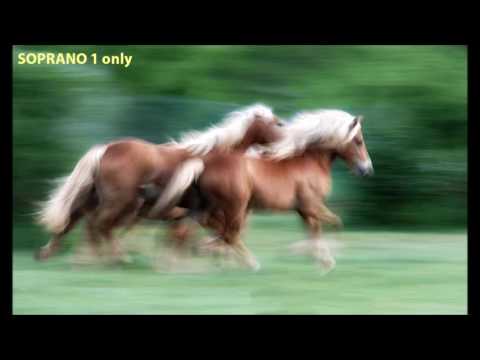 Vivaldi "Laudamus Te" SOPRANO 1 ONLY - Tania mix