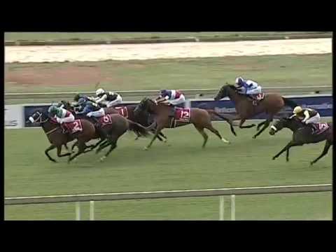 2016.11.20 International Jockeys' Challenge (RSA) - Day2