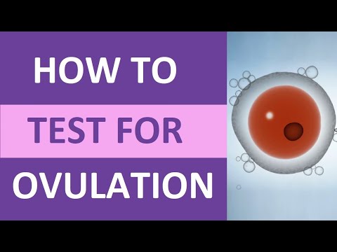 How to Take a Pregnancy Test at Home Pregnancy Test Results Live