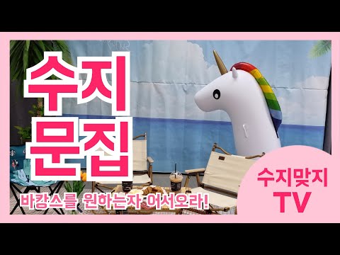 수지맞지 TV(2021.7.)