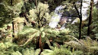 preview picture of video 'Triplet Falls Great Ocean Road Victoria Oct 2012'