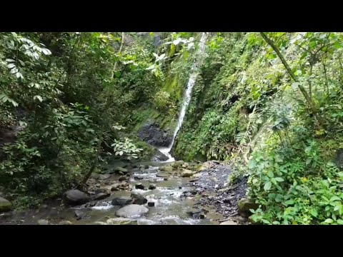 Cascada el tambo ( Tena cundinamarca) #djimini3 