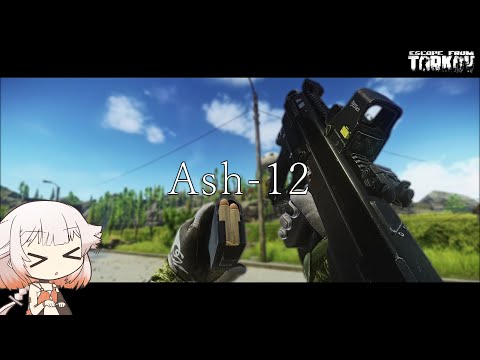 ASh-12　突撃銃!!文字通り!!【ONE実況】【タルコフ】【EFT】