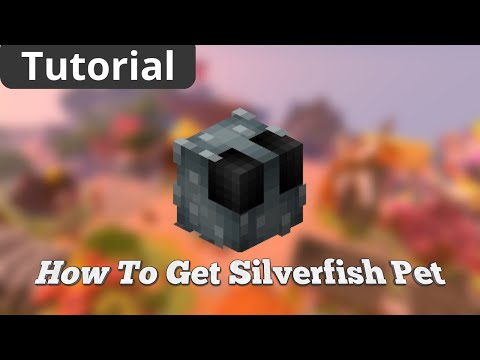 Silverfish Pet Hypixel