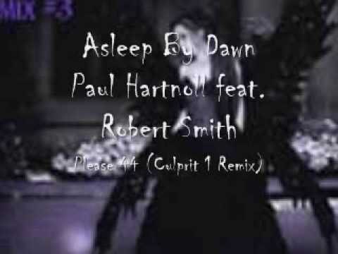 Asleep By Dawn - Paul Hartnoll feat. Robert Smith - Please 44 (Culprit 1 Remix)