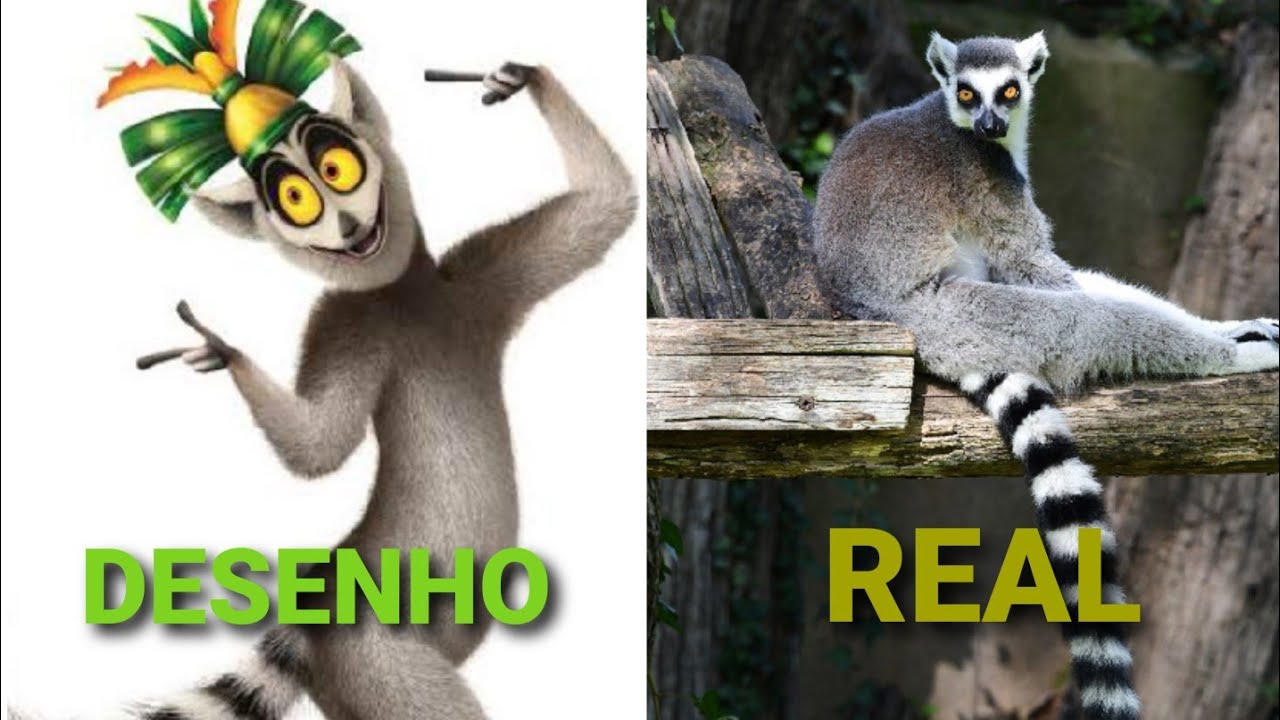 Watch Now QUE TIPO DE ESPÉCIE DE LÊMURE É O REI JULIEN (PESONAGEM ANIMAL EM VIDA REAL) QUE TIPO DE ESPÉCIE DE LÊMURE É O REI JULIEN (PESONAGEM ANIMAL EM VIDA REAL)