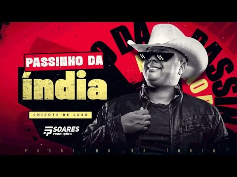 Playback - Passinho da Índia - Chicote de Luxo