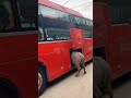 Bus Loading Buffalo Process