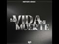 MI VIDA MI SUERTE Neton Vega Audio Oficial